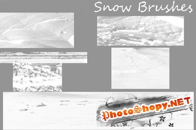 Brushes set - Snow