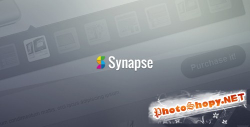 ThemeForest - Synapse - Corporate HTML Theme - Rip