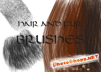 Hair and Fur Brushes set for Photoshop