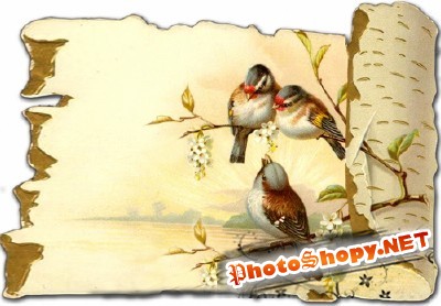 Small beautiful birds psd for Photoshop
