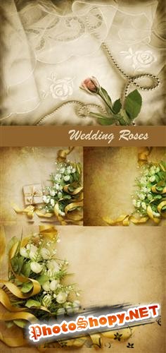 Свадебные розы (ретро фоны)
