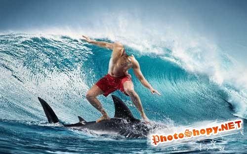 Красивый шаблон для Photoshop - Сёрфинг на дельфине