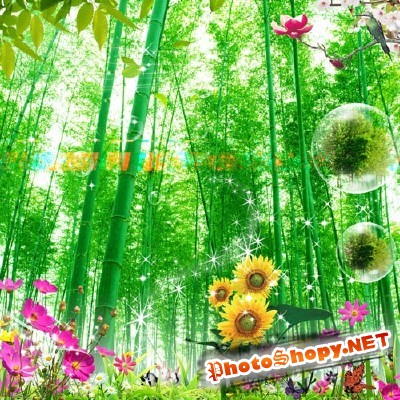 Beautiful spring nature for Photoshop