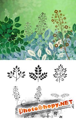 Forest Flora Brushes Set for Photoshop
