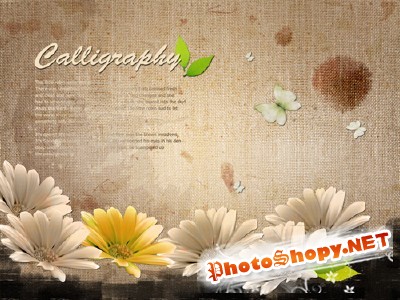 Beautiful flowers psd for Photoshop