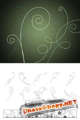 Vine Swirls Brushes Set for Photoshop