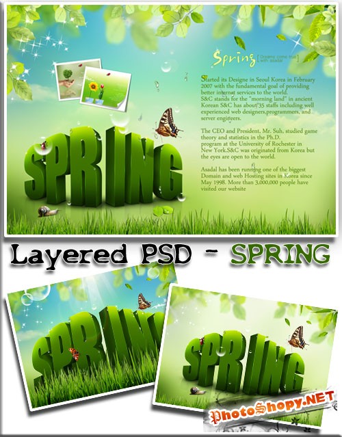 Весенний шаблон - яркое солнце и травка зеленеет (многослойный PSD)