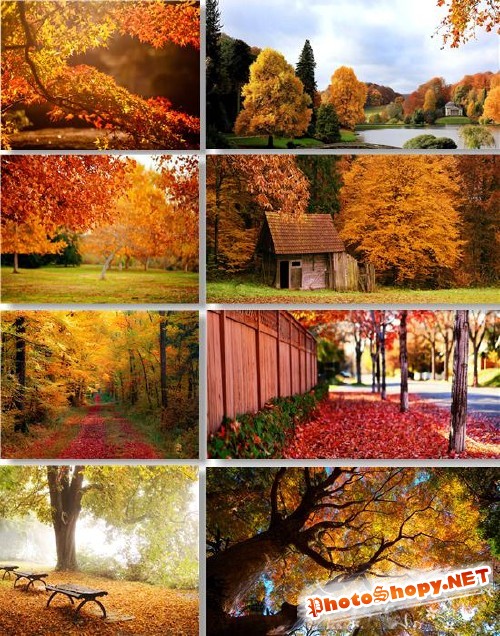 Клипарт - Осенние пейзажи