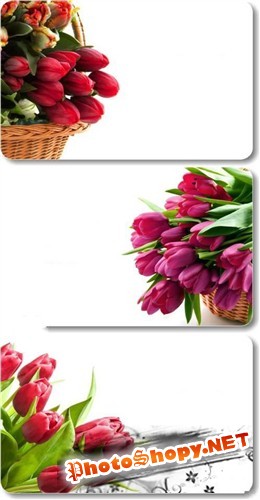 Корзинки с тюльпанами - набор весенних фонов