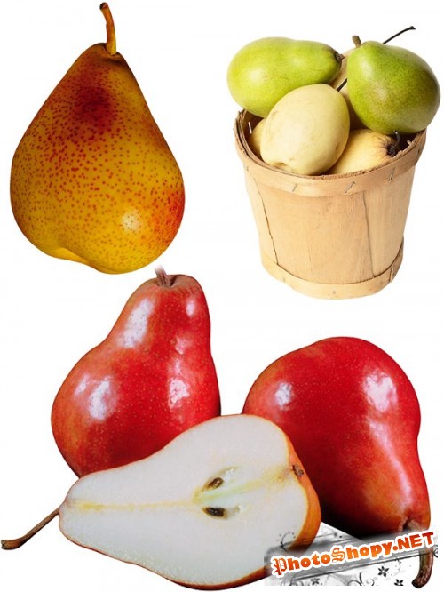 Фотосток: фрукты - груша