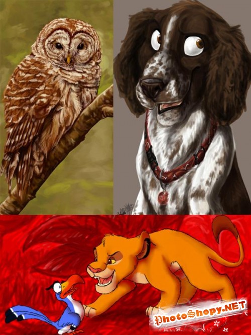 Рисунки животных от австралийской художницы Caitlin (ник BooYeh)