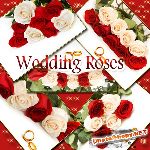 Клип-арт цветочный - Свадебные розы