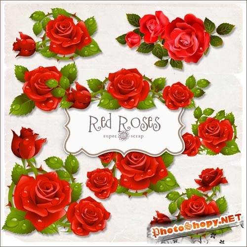 Красные розы - Клипарт