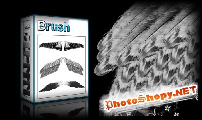 Wings Brushes Set for Photoshop