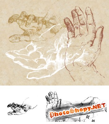 Sketches of Hands Brushes Set for Photoshop