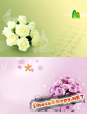 Beautiful Roses Psd Template for Photoshop