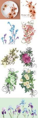 New Collection of Spring Flowers 2012 pack 5 for Photoshop