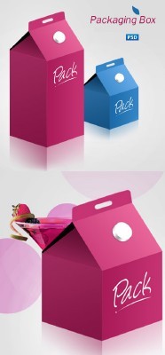 Packaging Box Psd Template for Photoshop