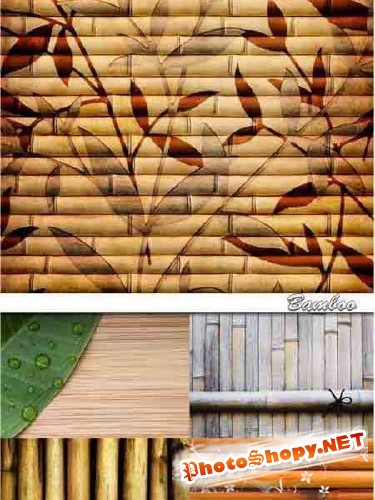 Фоны для Photoshop - Стильный бамбук