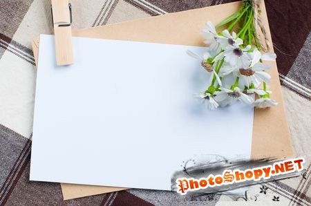 Фотосток белого листа для записи с прекрасными цветочками