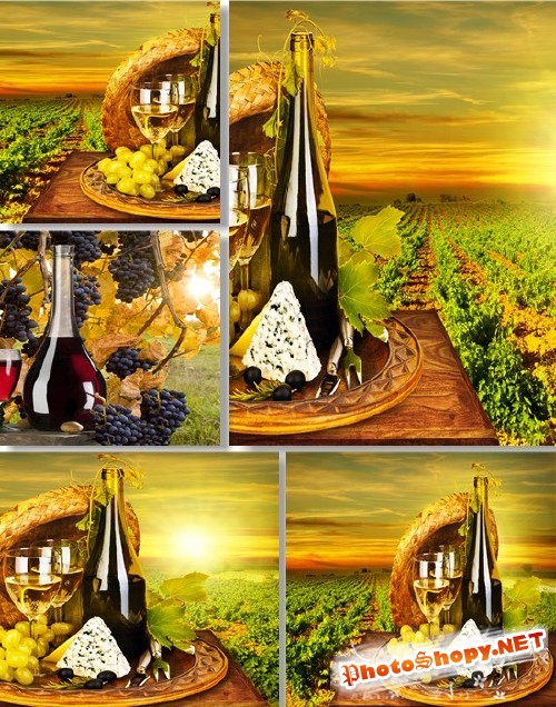 Растровый клипарт - Золотистые виноградники