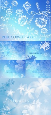 Aquarelle Flowers Brushes Pack for Photoshop
