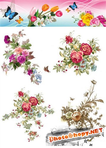 Коллекция цветочных композиций (PSD)