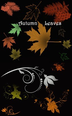 Autumn Leaves Brushes Set for Photoshop