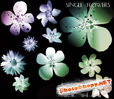 Single Flowers Brushes Set for Photoshop