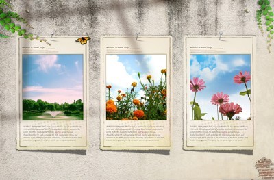 Source - Wall posters with beautiful flowers