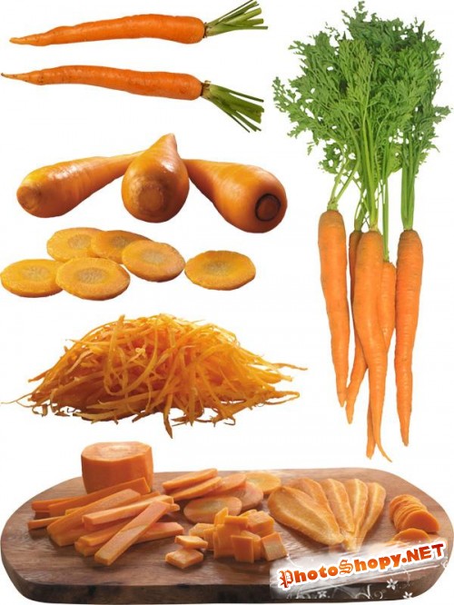 Фотосток: овощи - морковка и морковь