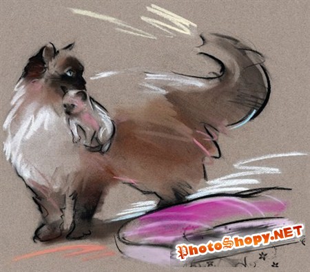 Рисунки кошек и собак