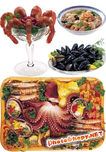 Фотосток: блюда из морепродуктов