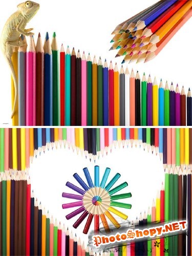 Фотосток: канцелярские принадлежности - цветные карандаши