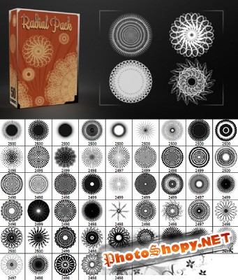 Radial Pack 50 Elements Brushes For Photoshop