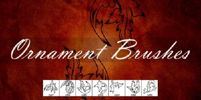 Ornament Brushes pack For Photoshop