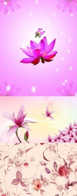 Sources For Photoshop - Pink spring flowers