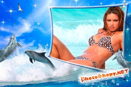 Рамка для фотошопа - Чайки и дельфины