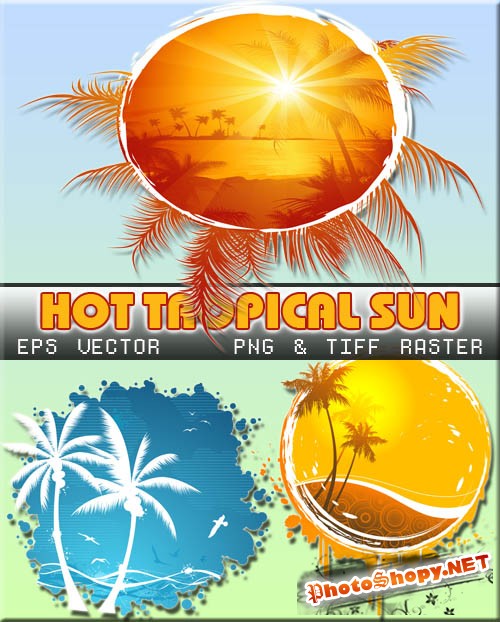 Горячее летнее солнце - тропики и пальмы (вектор)