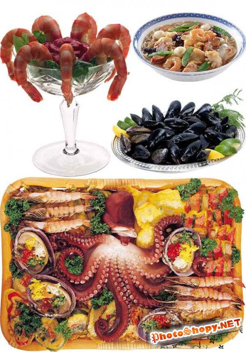 Фотосток: блюда из морепродуктов
