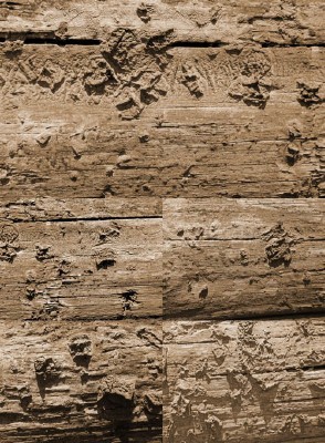 Dusty Wood Textures Set
