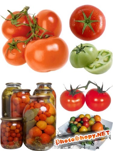 Фотосток овощи: Помидоры красные и зеленые, свежие и засоленые