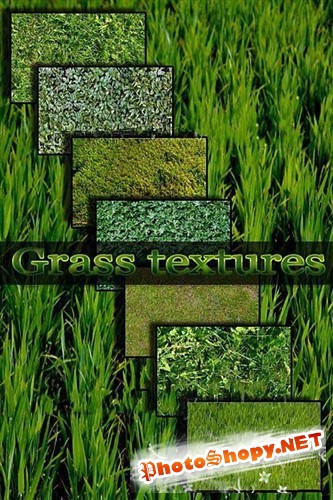 Текстуры газонной травы