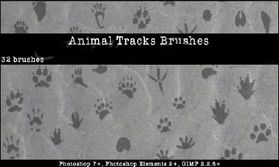 Animal Tracks Photoshop Brushes