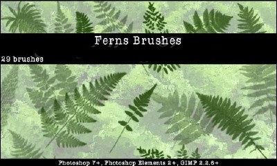 Ferns Photoshop Brushes Set