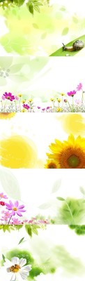 Sources - Floral Backgrounds