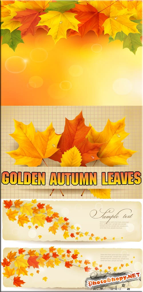 Золотые осенние экибаны | Bright autumn leafs (vector)