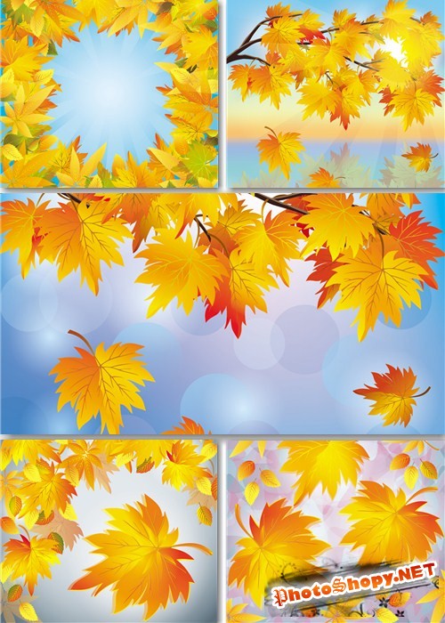 Растровые фоны - Осенние кленовые листья