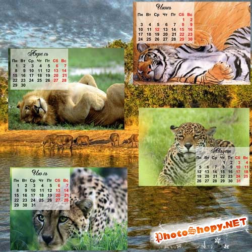 Календарь 2013 - дикие кошки