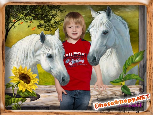 Шаблон для фотошопа "Белые кони"